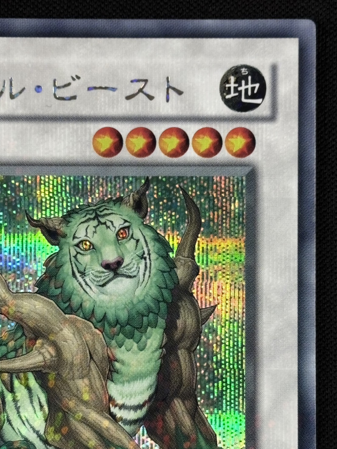 遊戯王　ナチュルビースト DT シークレット 状態B】ナチュル・ビースト[DTｼｰｸﾚｯﾄ](DT03-JP032) | 遊戯王,特価,特価