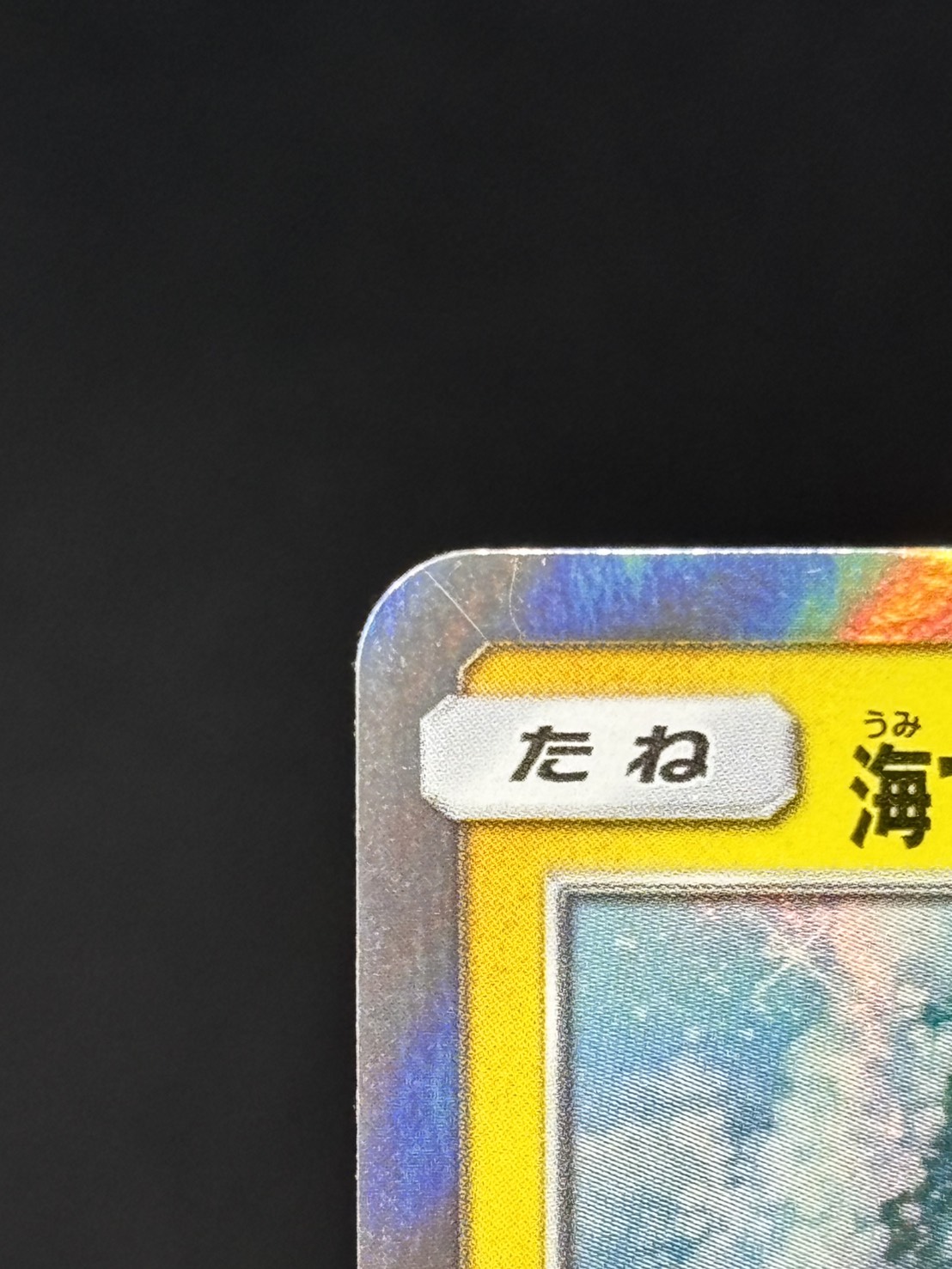 【状態B】海で遊ぶピカチュウ[P](392/SM-P)