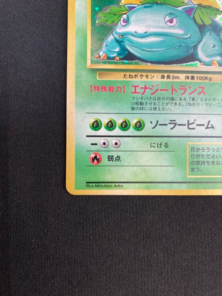 フシギバナ 旧裏 No.003 ☆ 【公式通販】