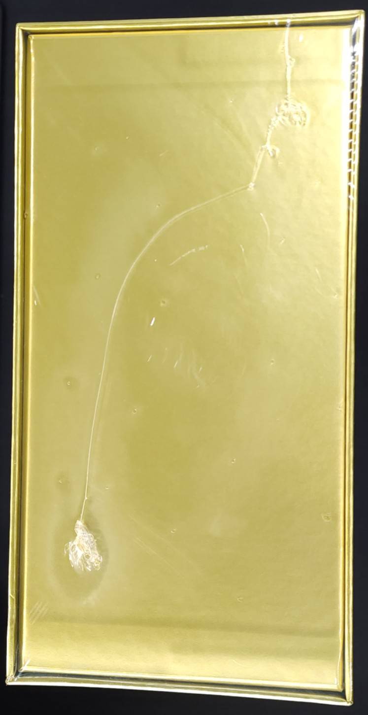 状態B】25th ANNIVERSARY COLLECTION GOLDEN BOX《未開封