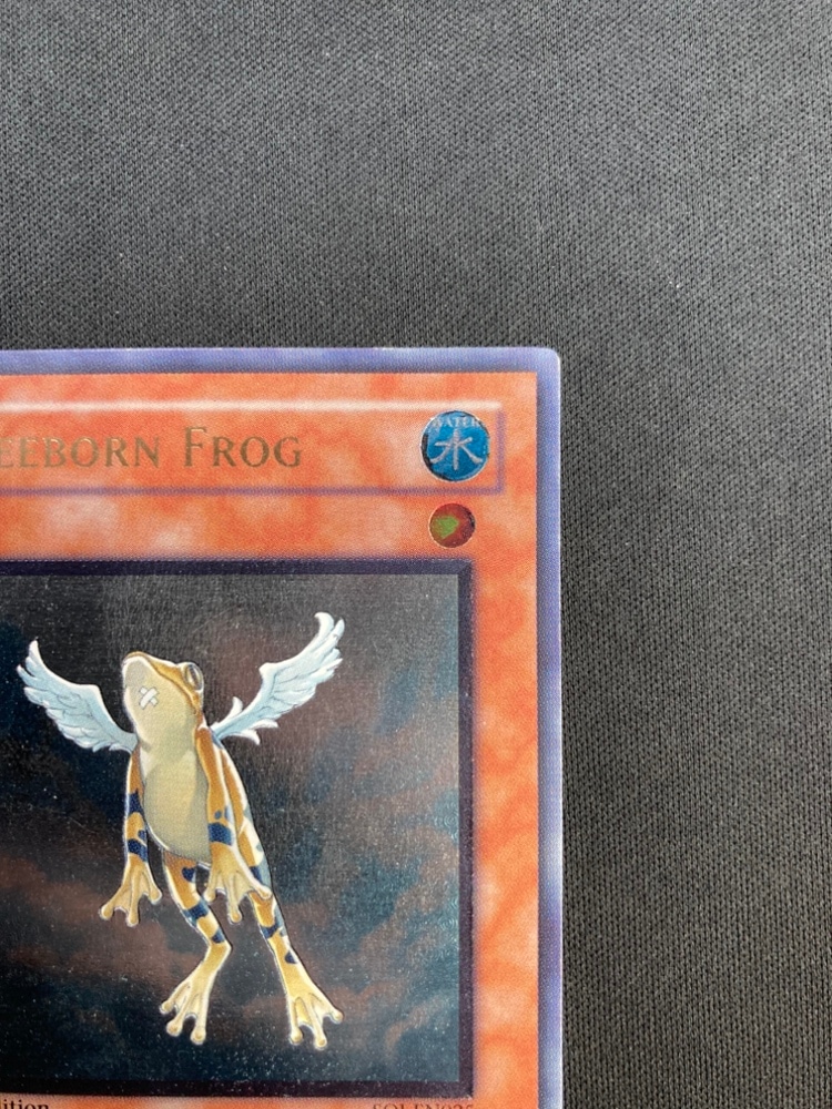 【店頭同時出品中】【状態B】TREEBORN FROG/黄泉ガエル《1st》[ｱﾙﾃｨﾒｯﾄ](SOI-EN025)