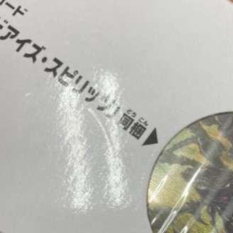 特価_コレクション品】YCSJ限定商品 レッドアイズデュエルセット (未