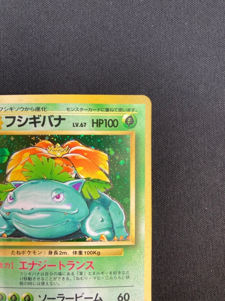 フシギバナ LV.67 HP100 ポケモンカード フシギバナ 25周年ホロカード