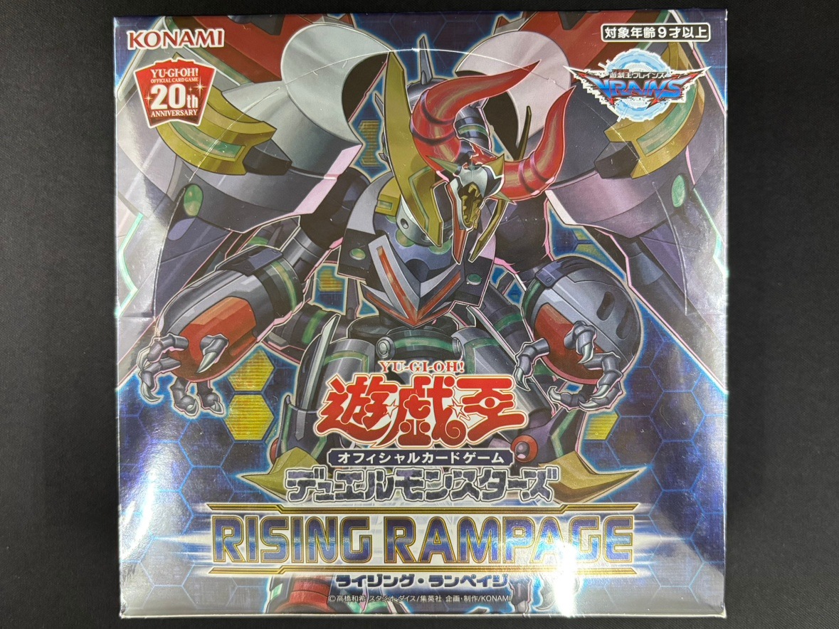 【状態B】RISING RAMPAGE《未開封BOX》