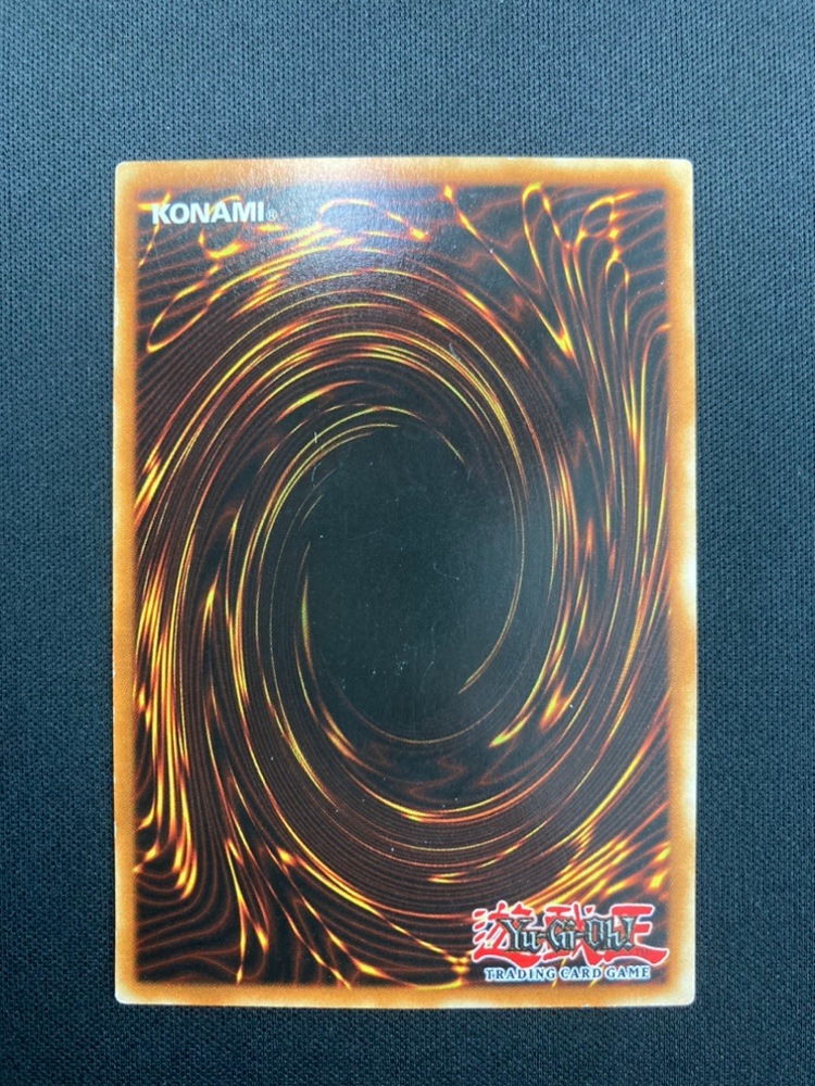 状態B】BLUE-EYES WHITE DRAGON/ 青眼の白龍 《英語》[ｼｰｸﾚｯﾄ](DDS-001