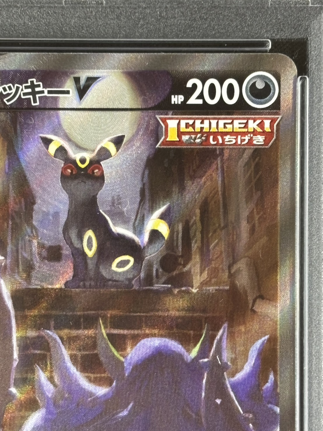 状態A-】ブラッキーV《PSA10》[SR](S6a-085/069) | ポケモンカード