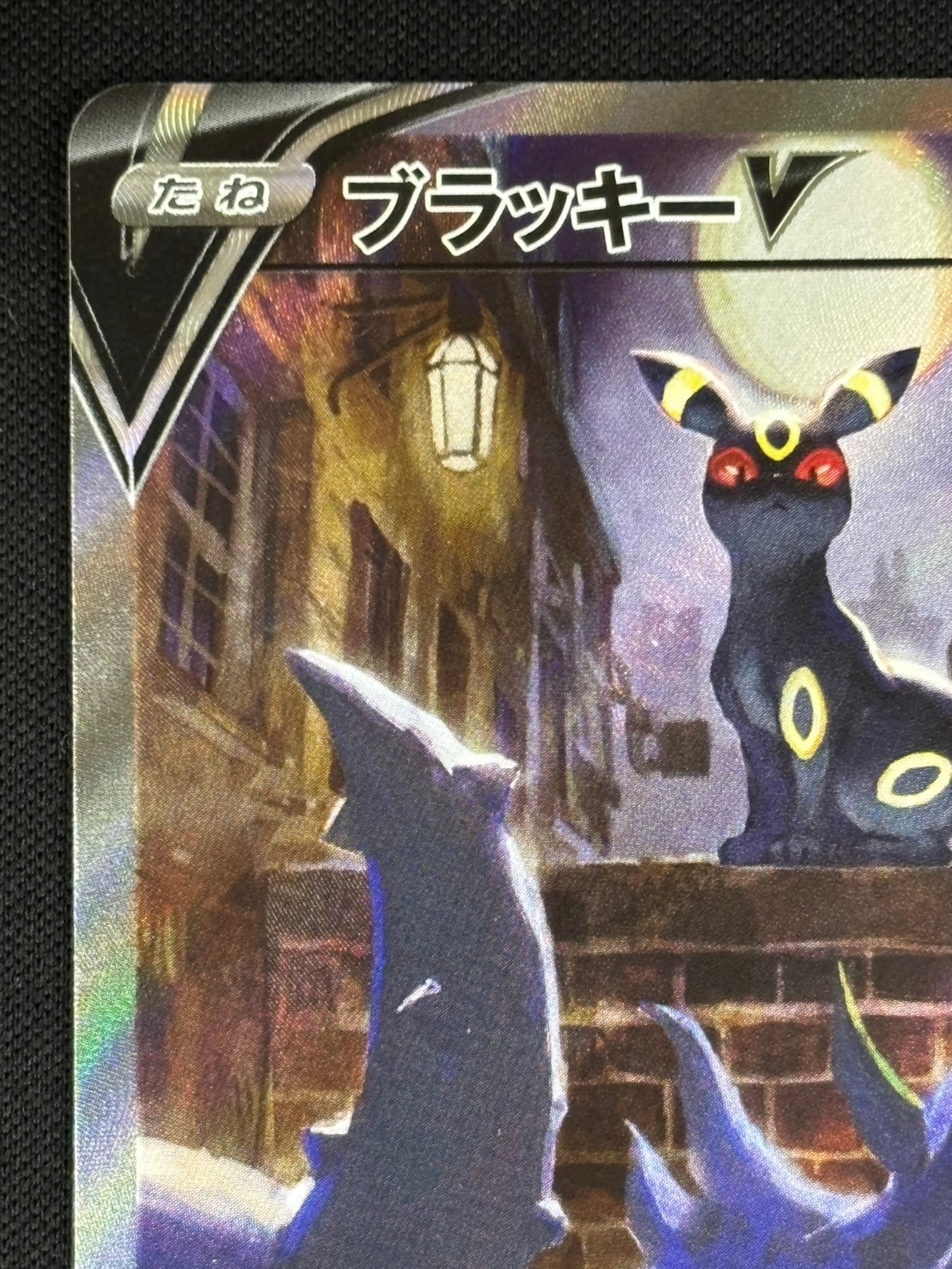 ブラッキーV SR 【公式通販】