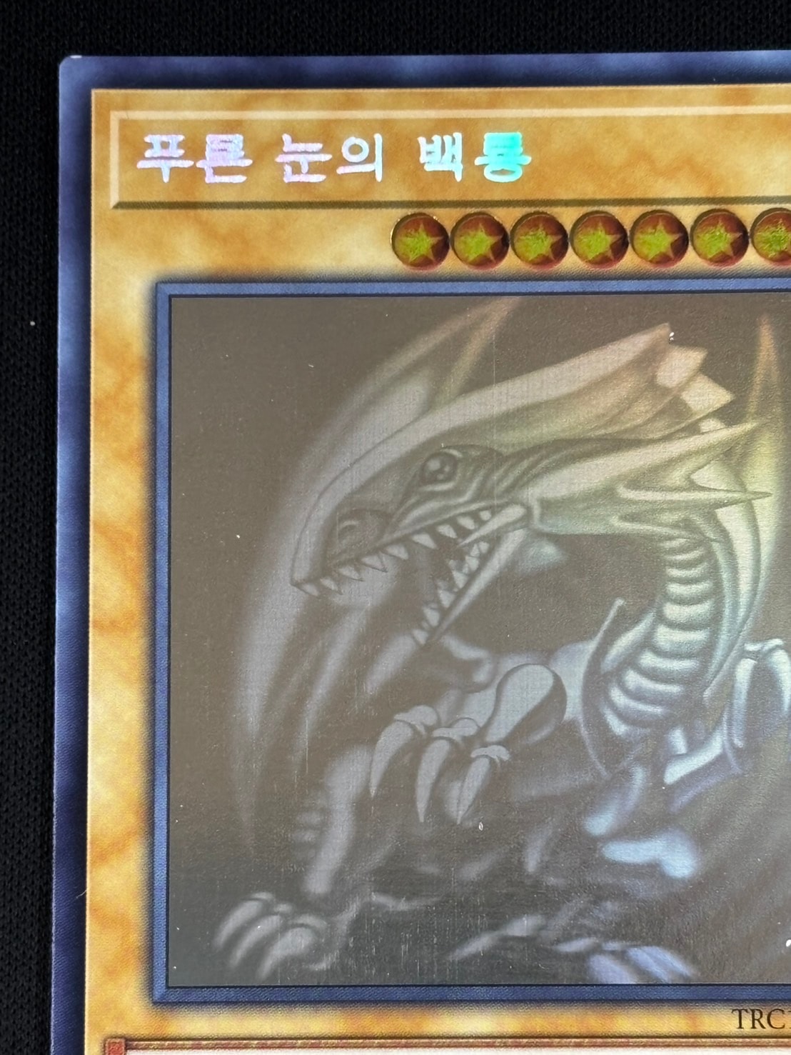 好きに 状態B】青眼の白龍 韓国語[ﾎﾛｸﾞﾗﾌｨｯｸ](TRC1-KR000) | 遊戯王 遊戯王OCG デュエルモンスターズ