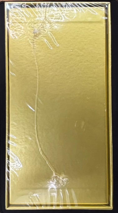 店頭同時出品中】【状態B】25th ANNIVERSARY COLLECTION GOLDEN