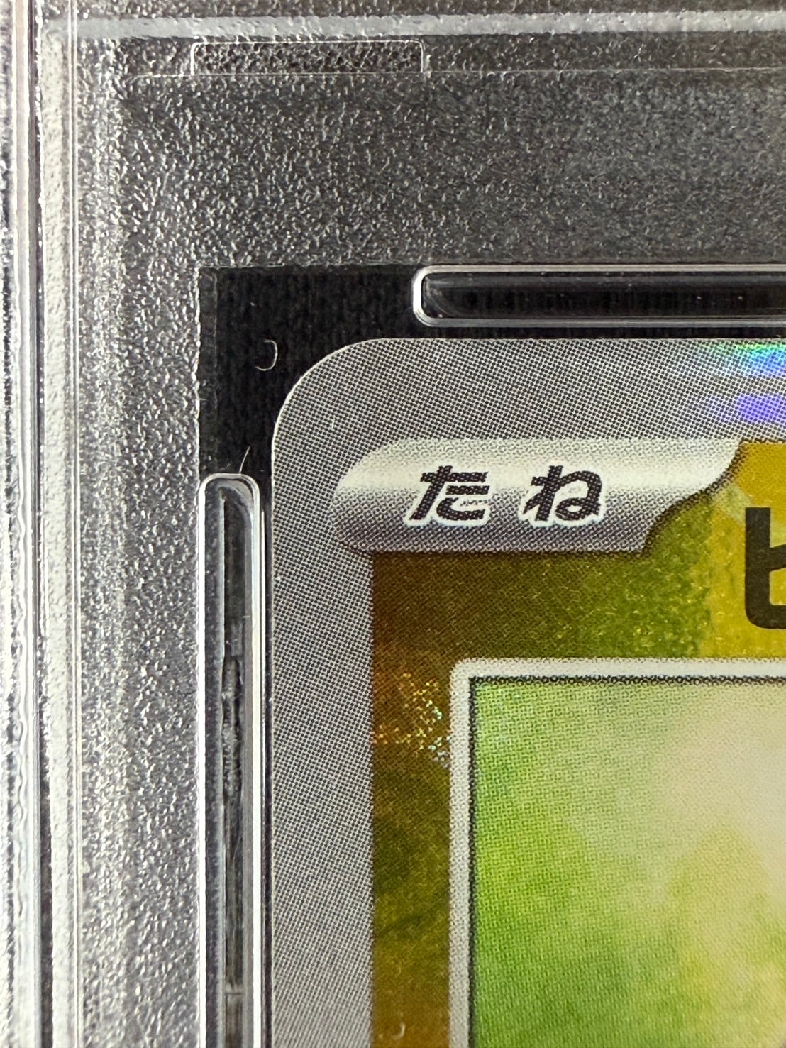 ピカチュウ《PSA10》《ﾏｽﾀｰﾎﾞｰﾙﾐﾗｰ》[C](SV2a-025/165) | ポケモン