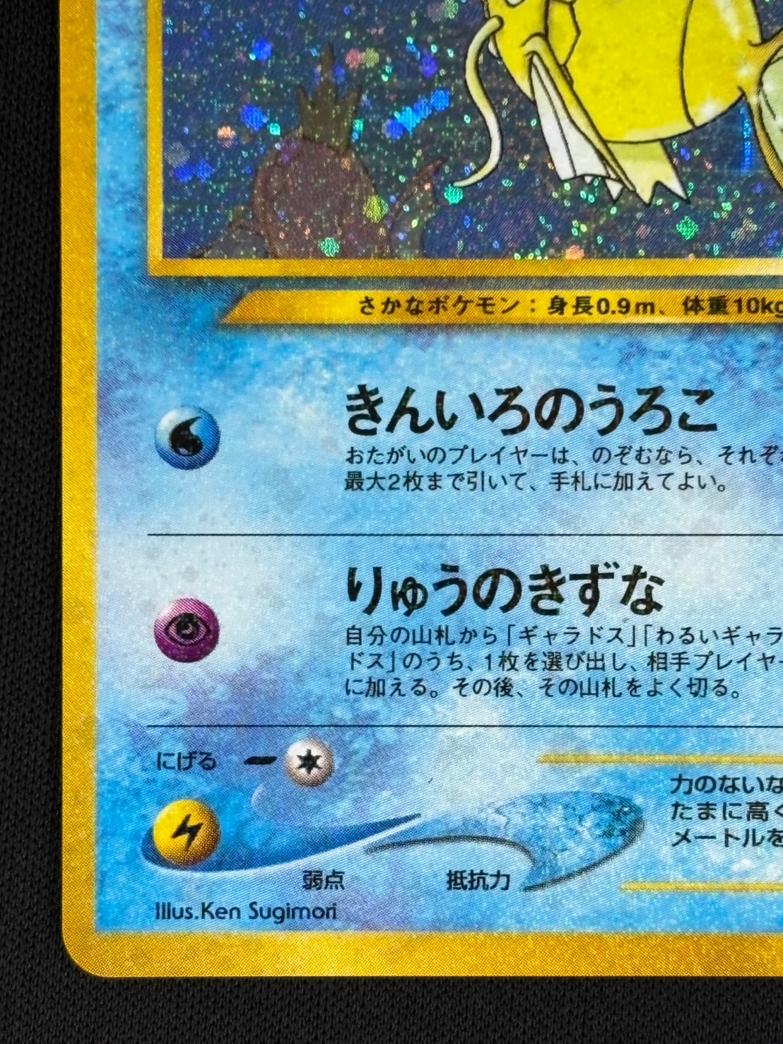 ポケモン - ひかるコイキング 2枚セット ポケモンカード ポケカ 美品 ひかるコイキング & コイキング