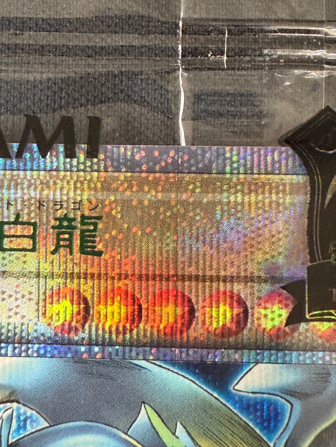店頭同時出品中】【状態B】青眼の白龍《未開封・封筒付き