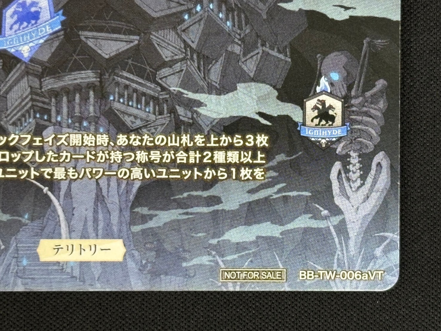 店頭同時出品中】死者の国の王の勤勉な精神 イグニハイド寮(イデア)[VT