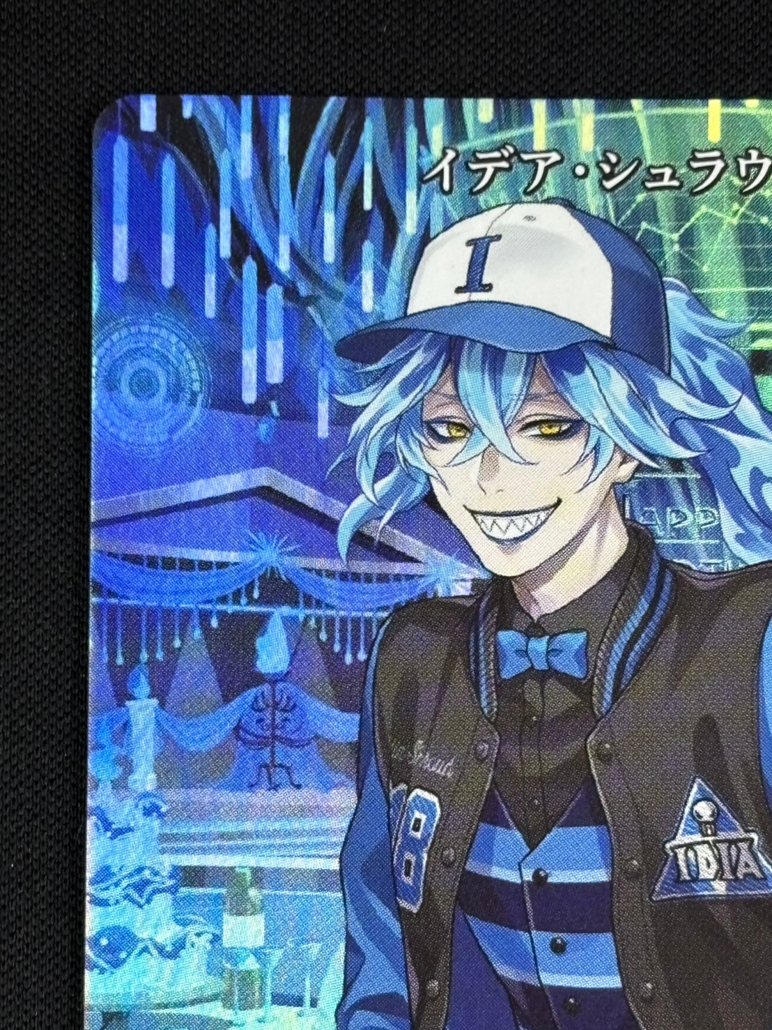 店頭同時出品中】死者の国の王の勤勉な精神 イグニハイド寮(イデア)[VT