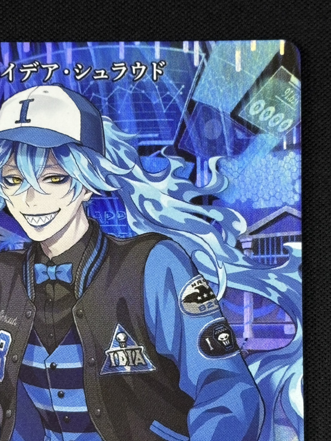 店頭同時出品中】死者の国の王の勤勉な精神 イグニハイド寮(イデア)[VT