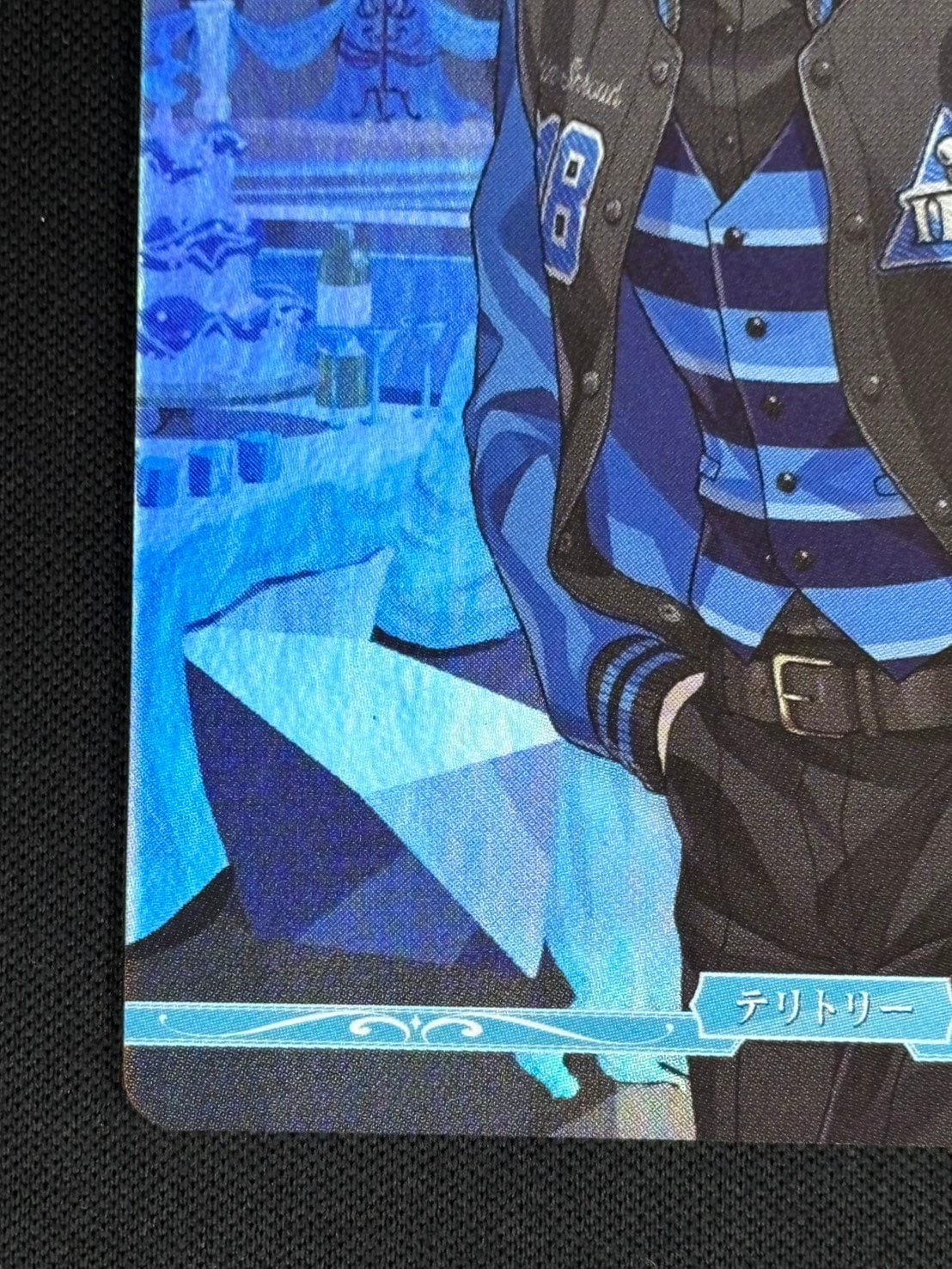 店頭同時出品中】死者の国の王の勤勉な精神 イグニハイド寮(イデア)[VT