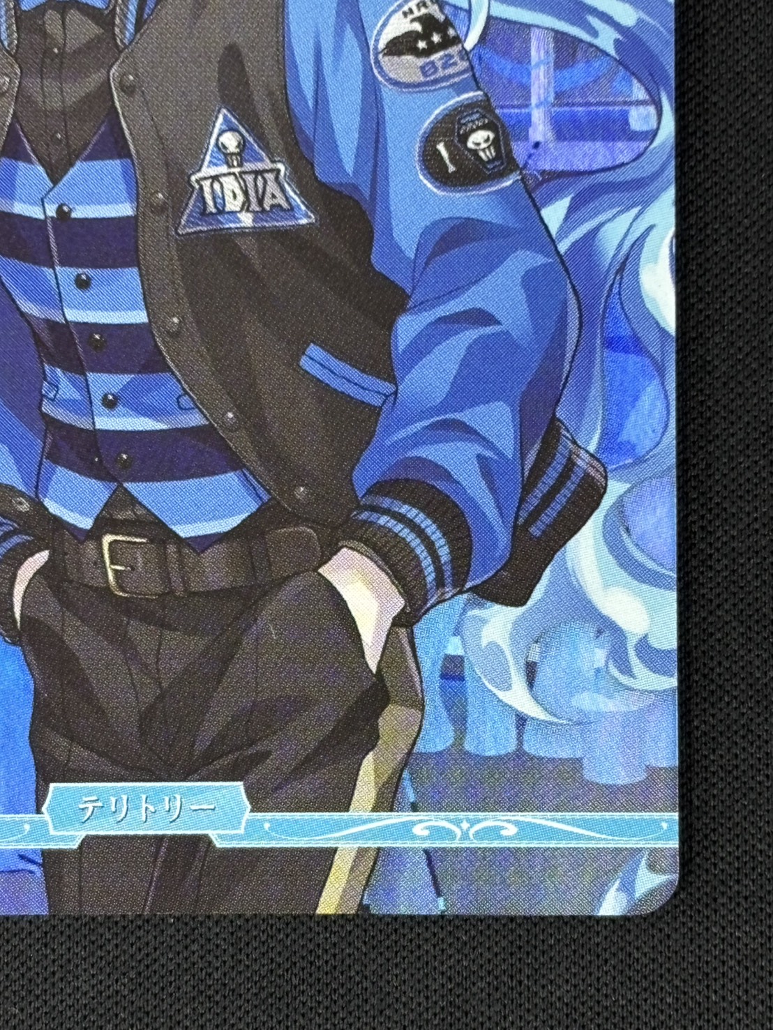 店頭同時出品中】死者の国の王の勤勉な精神 イグニハイド寮(イデア)[VT