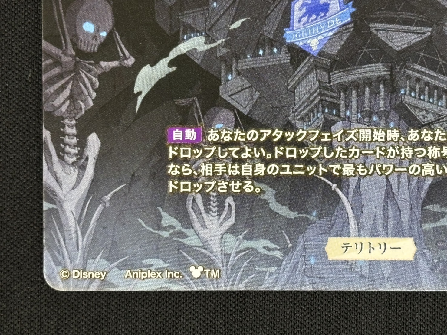 店頭同時出品中】死者の国の王の勤勉な精神 イグニハイド寮(イデア)[VT