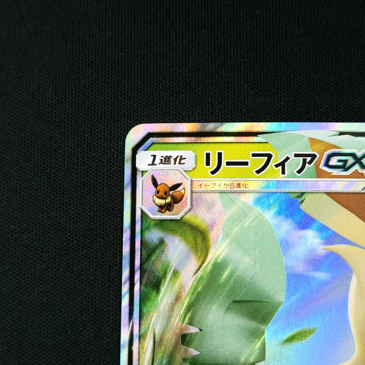 PROMO）リーフィアGX（268/SM-P） リーフィアGX プロモ SM-P 268 チャンピオンシップ2019