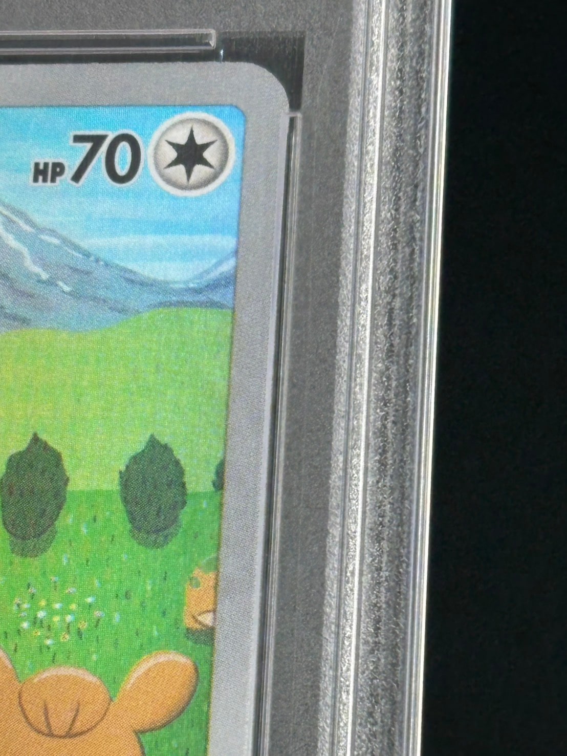 状態A-】メタモン《PSA10》[AR](S12a-197/172) | すべての商品 | Bee