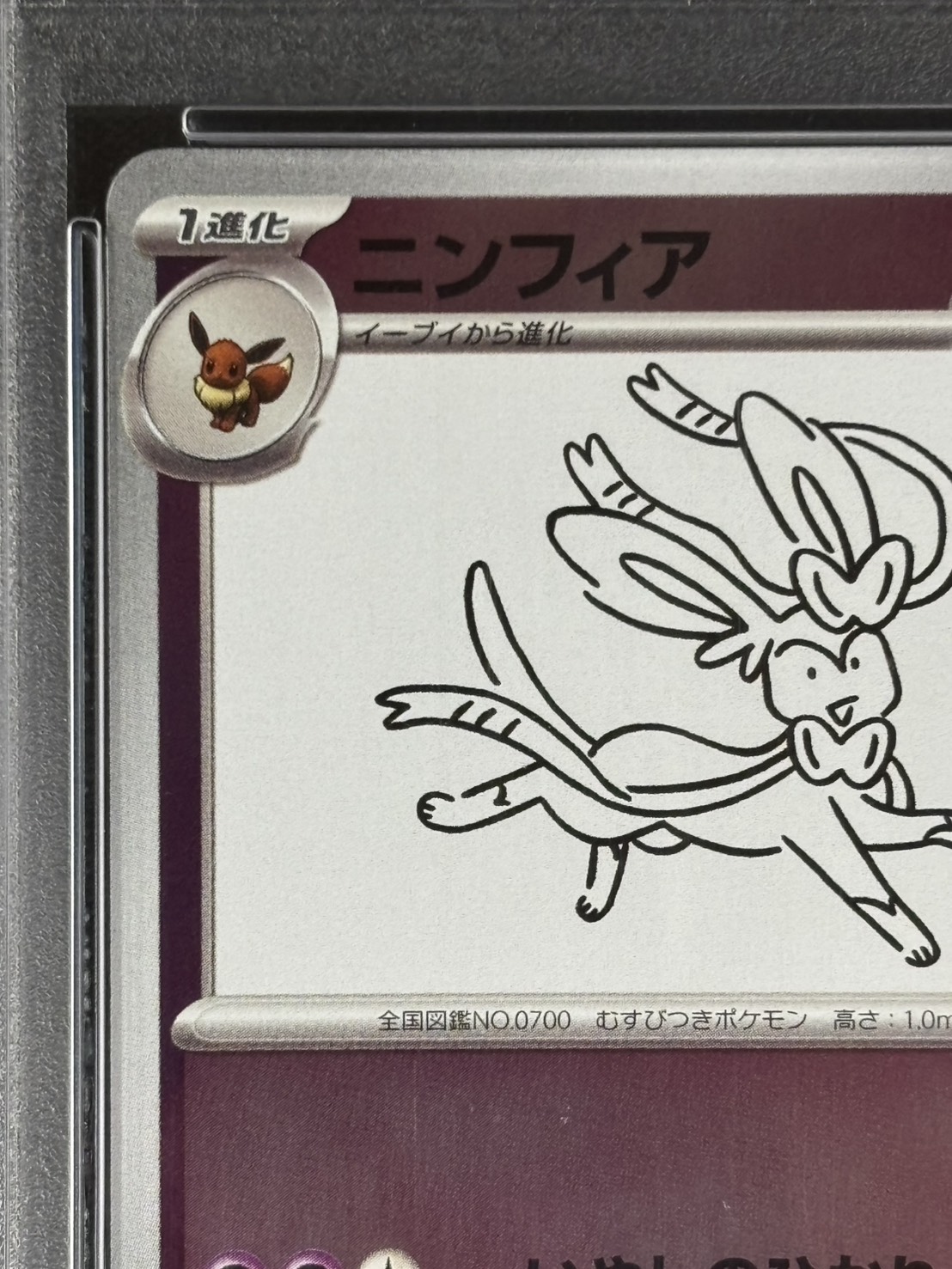 店頭同時出品中】ニンフィア《PSA10》[P](070/SV-P) | ポケモンカード