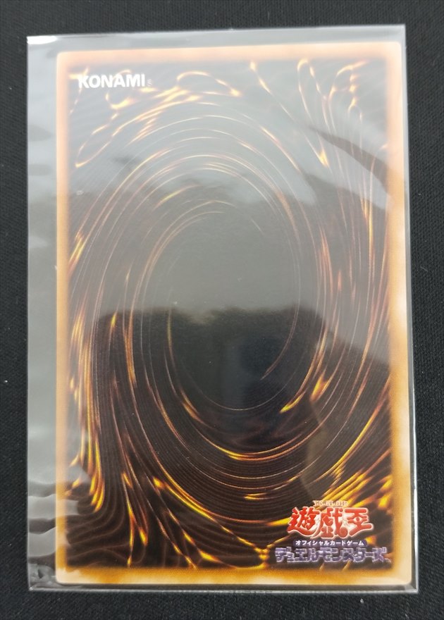 【店頭同時出品中】【状態B】王国《状態確認ページ》