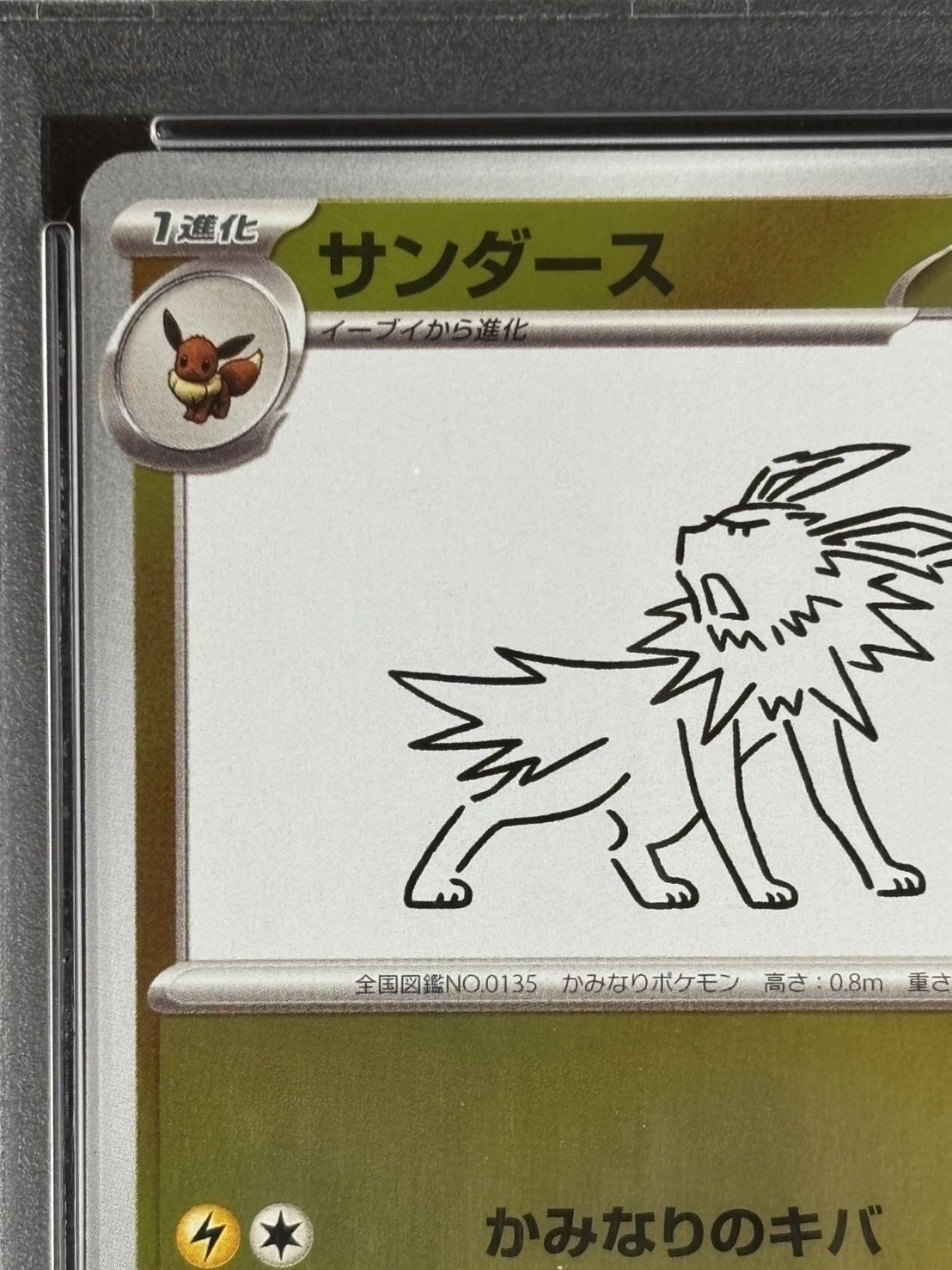 店頭同時出品中】サンダース《PSA10》[P](064/SV-P) | すべての商品