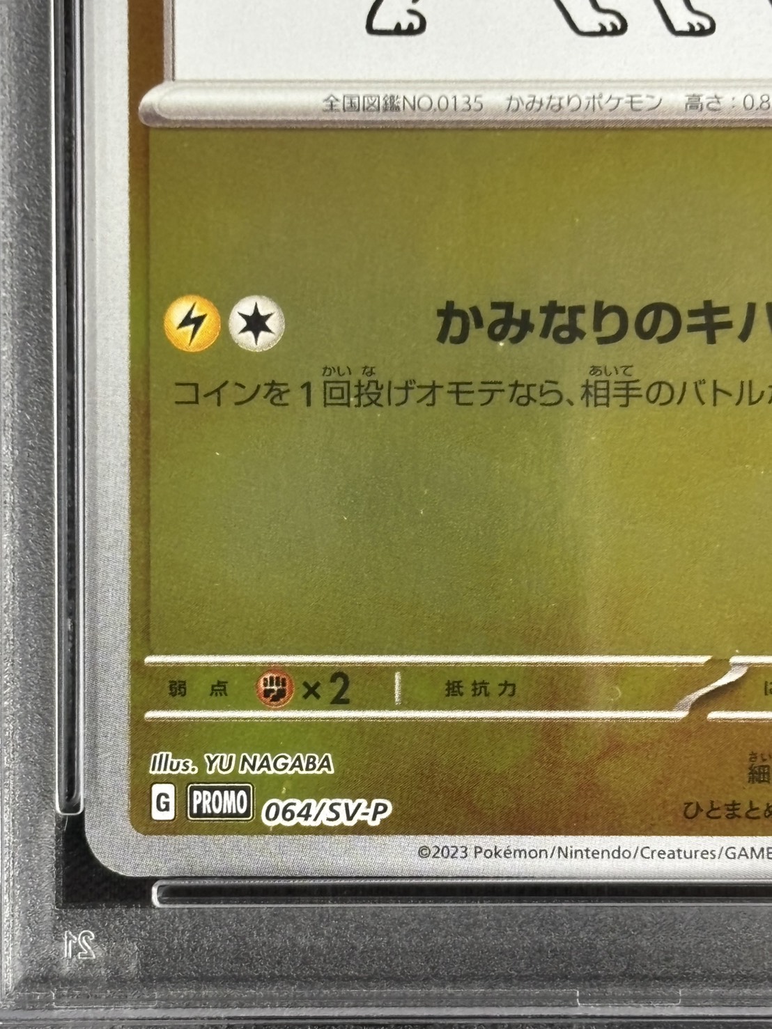 店頭同時出品中】サンダース《PSA10》[P](064/SV-P) | すべての商品