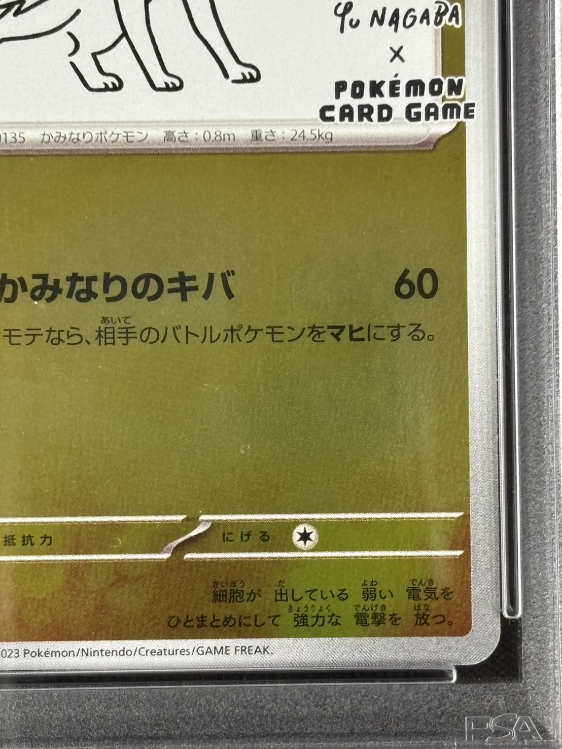 店頭同時出品中】サンダース《PSA10》[P](064/SV-P) | すべての商品