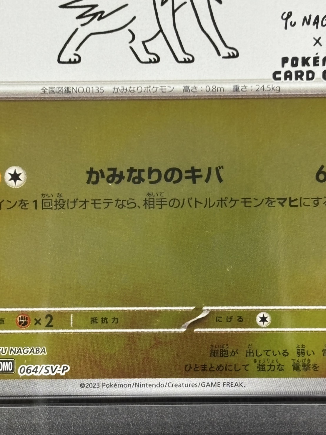 店頭同時出品中】サンダース《PSA10》[P](064/SV-P) | すべての商品