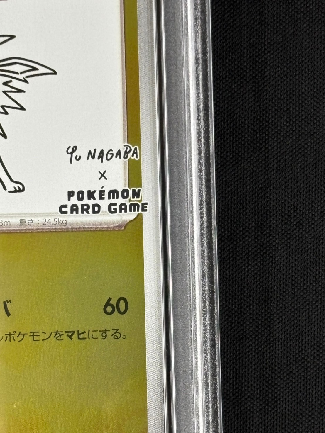 店頭同時出品中】サンダース《PSA10》[P](064/SV-P) | すべての商品