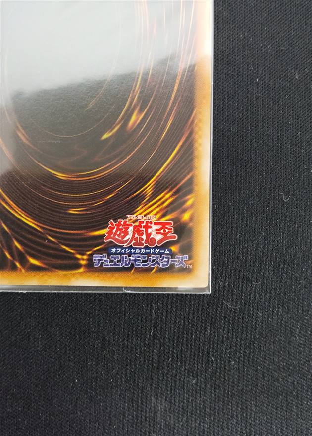 【店頭同時出品中】【状態B】王の右手の栄光《状態確認ページ》