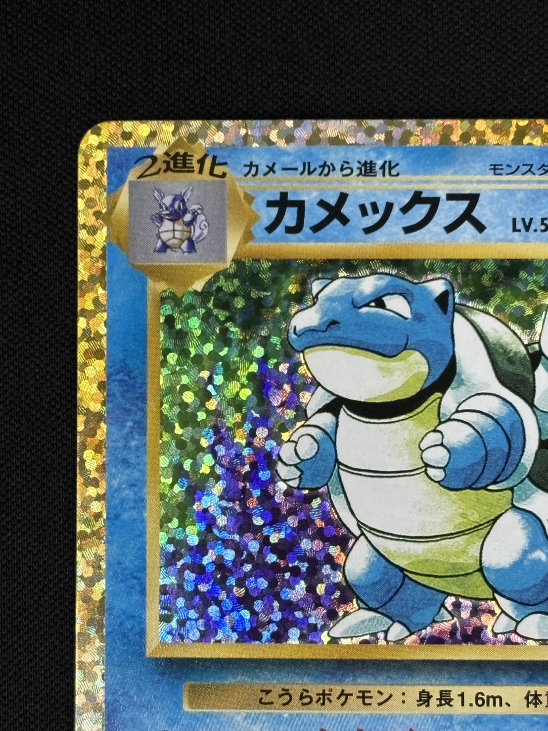 状態B】カメックス[](S8a-P-003/025) | ポケモンカードゲーム,特価