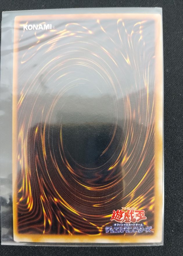 【店頭同時出品中】【状態B】王国への船出《状態確認ページ》
