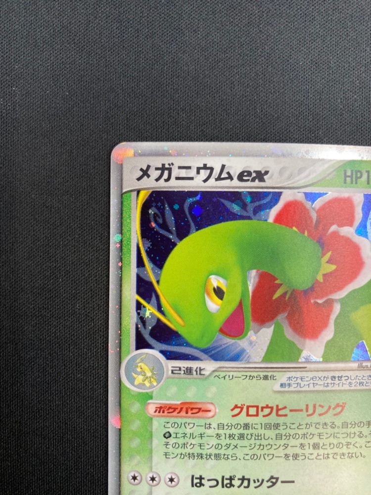 店頭同時出品中】【状態B】メガニウムex[](003/016) | ポケモンカード