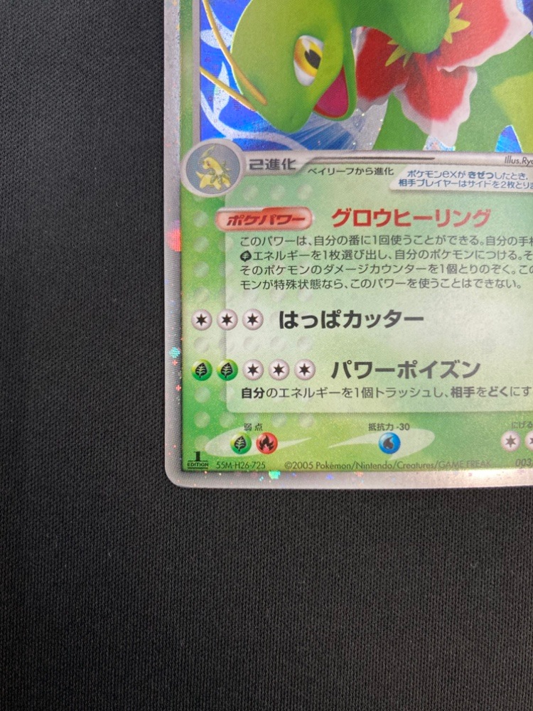 メガニウムex ポケカ メガメガニウムex デッキ解説・改造レシピ