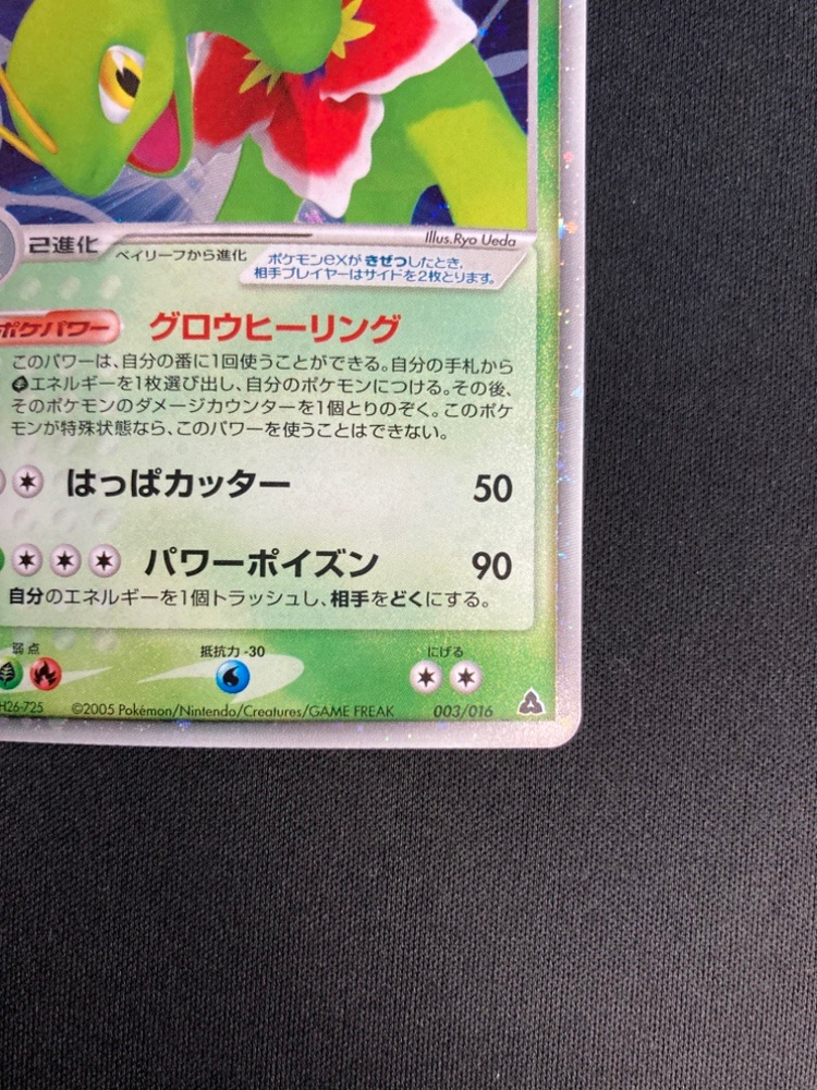 店頭同時出品中】【状態B】メガニウムex[](003/016) | ポケモンカード