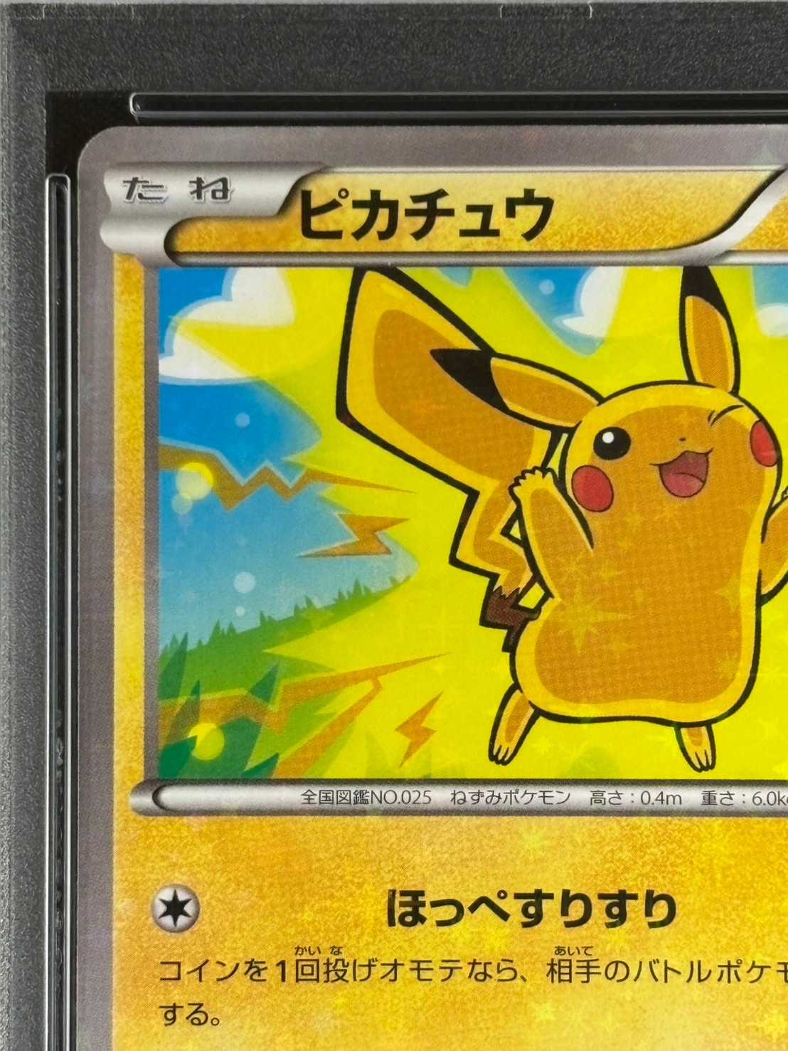店頭同時出品中】【状態A-】ピカチュウ《PSA10》[P](206/XY-P