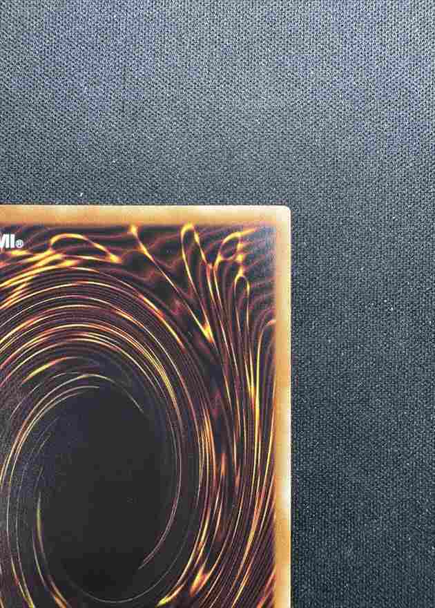 状態B】ナチュル・パルキオン[DTCｼｰｸﾚｯﾄ](DTC2-JP058) | 遊戯王