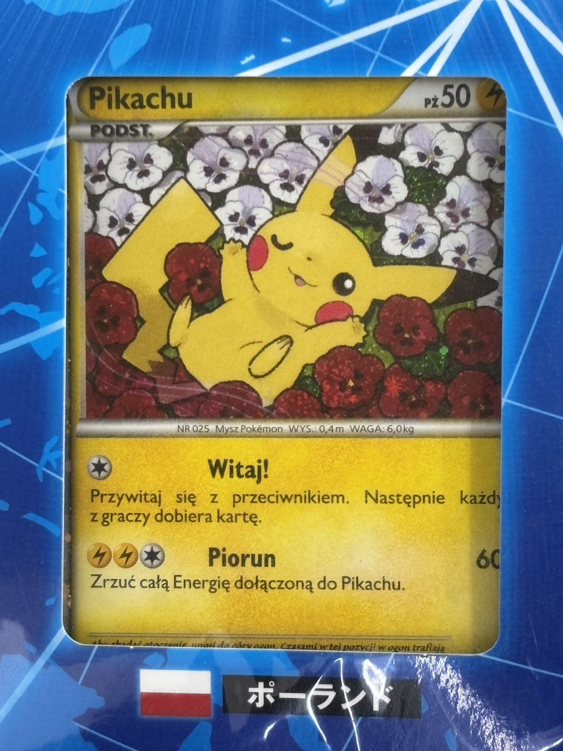 店頭同時出品中】【状態B】ポケモンカードゲーム ピカチュウ ワールド