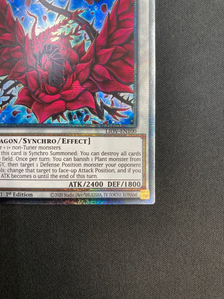 店頭同時出品】【状態B】BLACK ROSE DRAGON/ブラック・ローズ