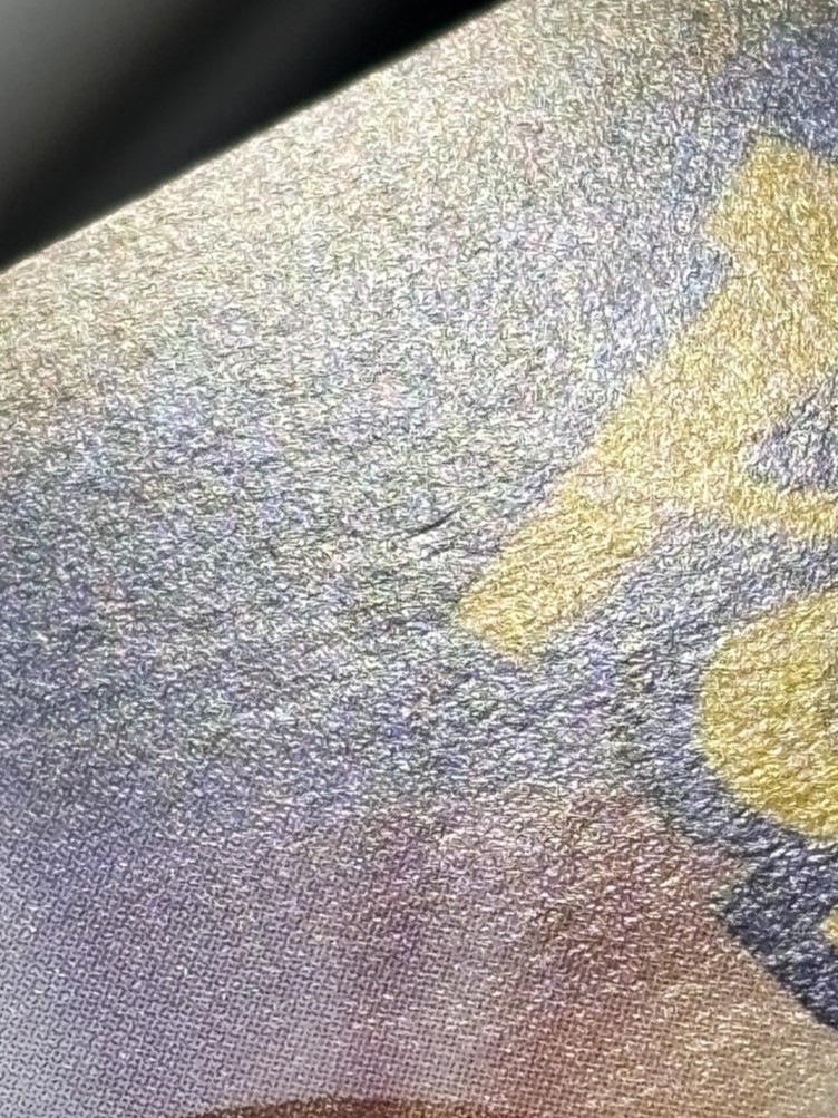 【状態B】トウホクのピカチュウ[P](SM-P-088)