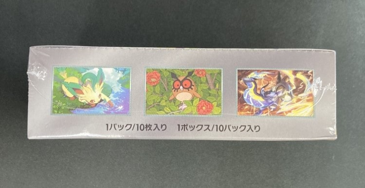 状態B】テラスタルフェスex《未開封BOX》 | ポケモンカード