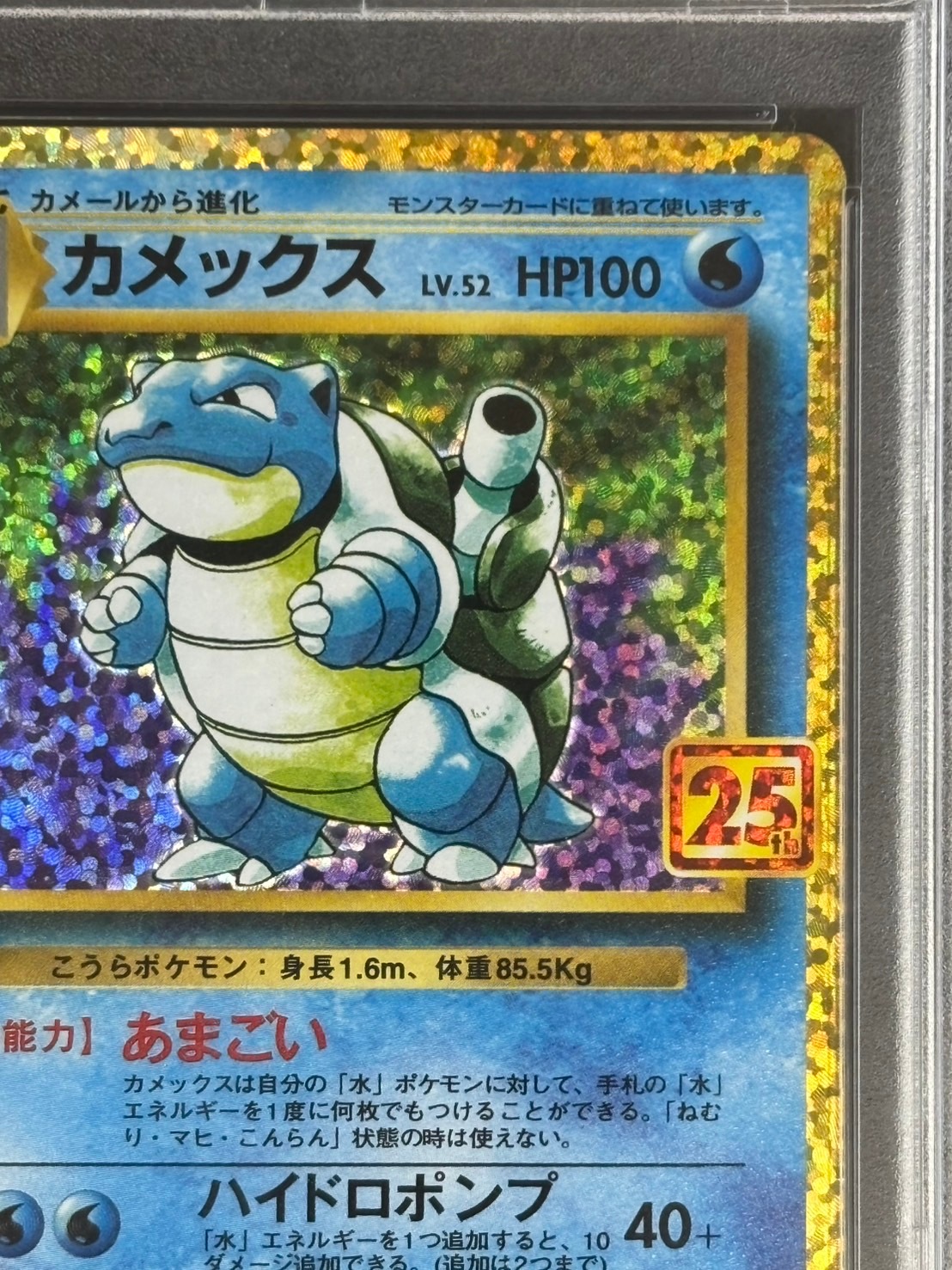 カメックス 003/025 psa10