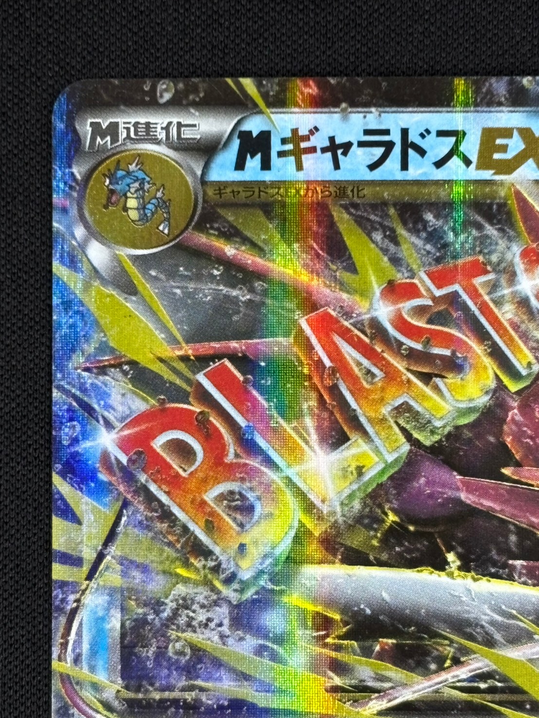 店頭同時出品中】【状態C】MギャラドスEX[RR](019/080-XY9) | ポケモン