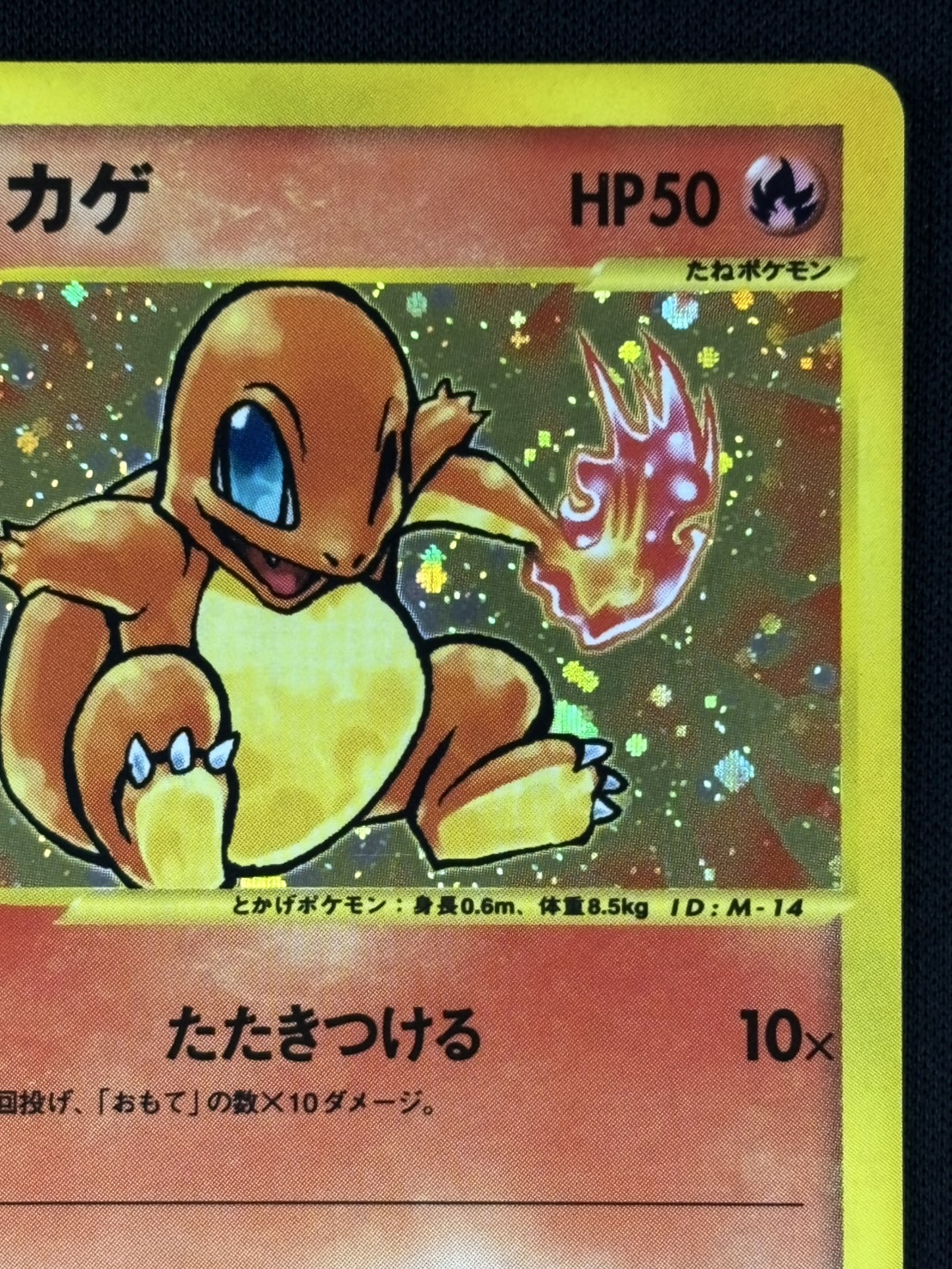 ゼニガメ カードE マクドナルド