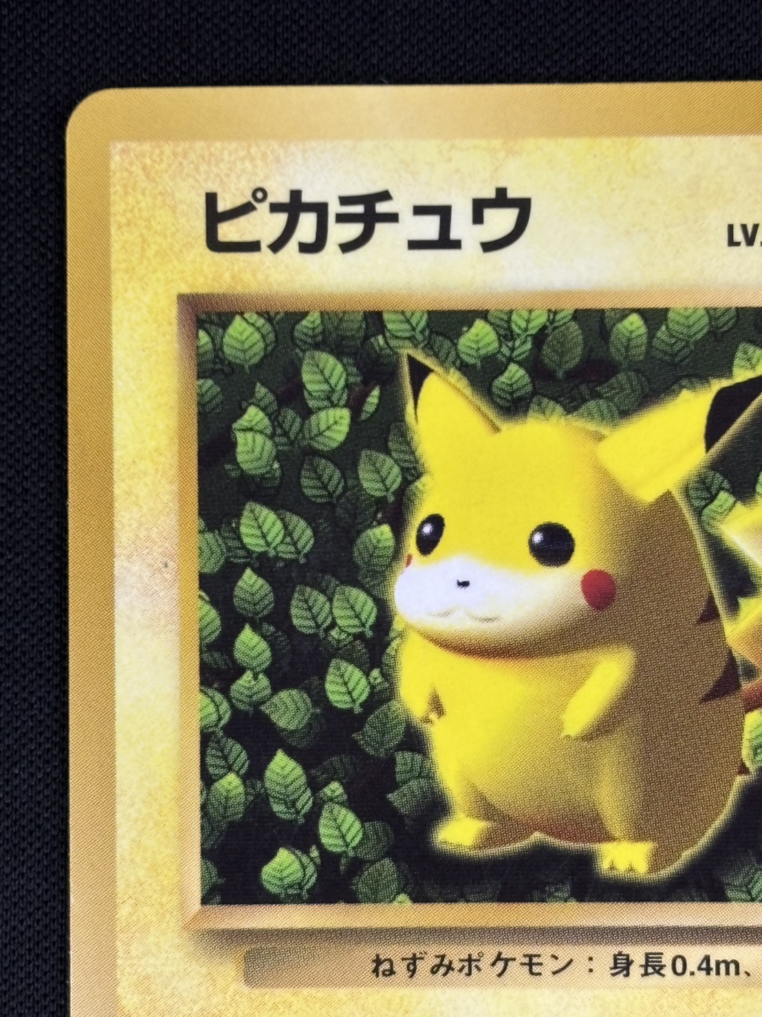 【店頭同時出品中】【状態D】ピカチュウ《旧裏》[P](No.025)