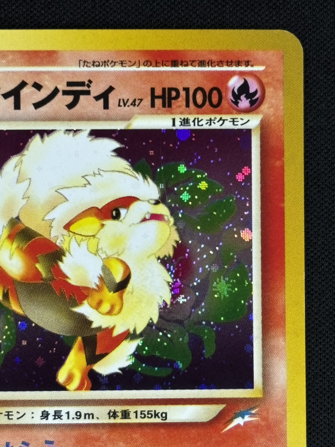 【店頭同時出品中】【状態B】やさしいウインディ LV.47《旧裏》[★](No.059)