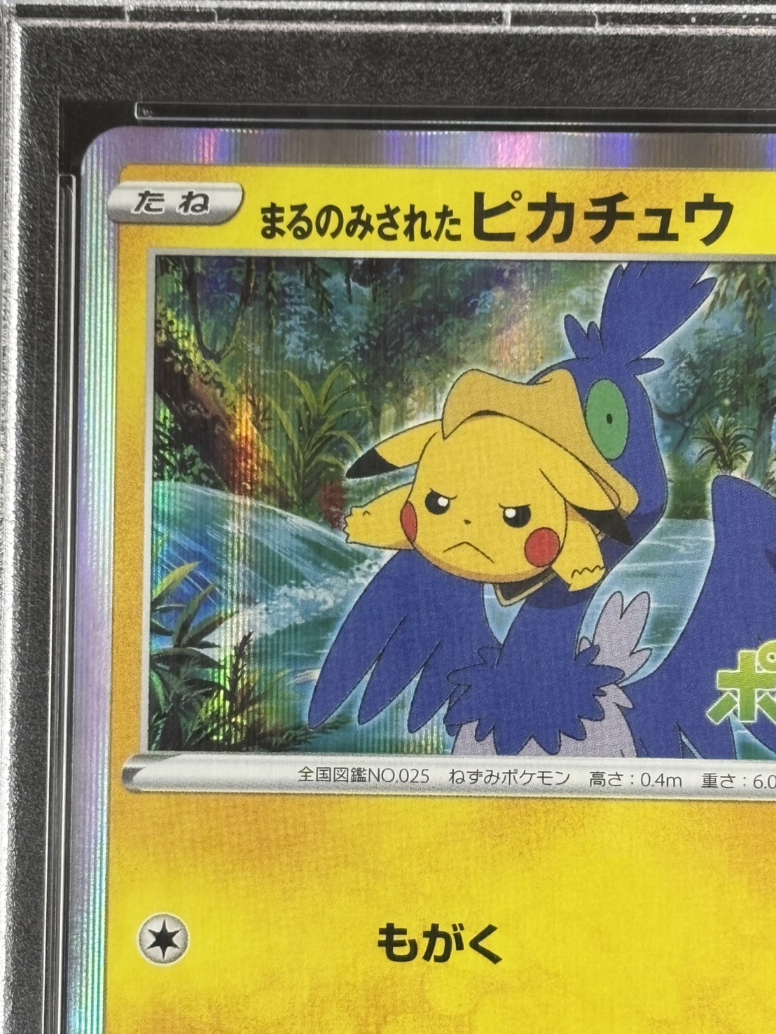 【psa10】 ピカチュウ 丸美屋 PSA10 ピカチュウ 丸美屋 ステッカー シール pop10 連番 1枚の通販