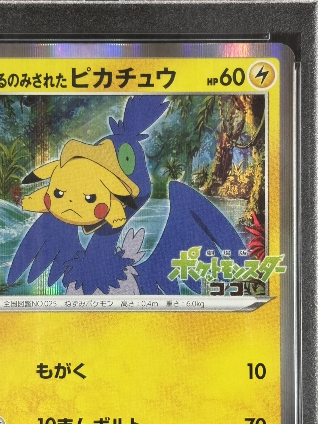 まるのみされたピカチュウ PSA10 - ポケモンカードゲーム人気 商品